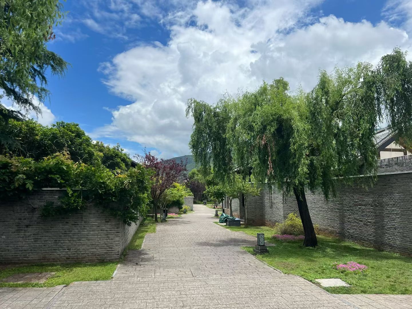 云南团建照片6